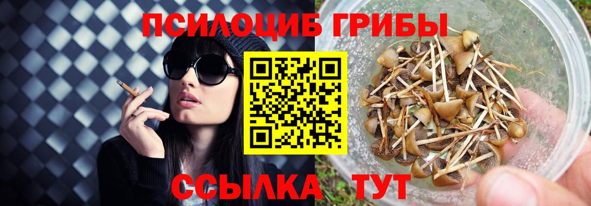 Галлюциногенные грибы GOLDEN TEACHER  Псилоцибиновые грибы мицелий  Керчь  Вход с VPN 